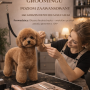 Indywidualny kurs groomingu – poziom zaawansowany 